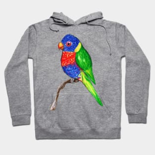 Cute rainbow lorikeet Hoodie